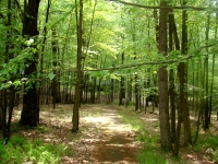 June, 2008